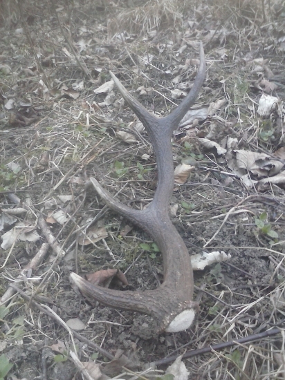 Nieje nad to keď človek nájde čerstvý zhod ! :-)