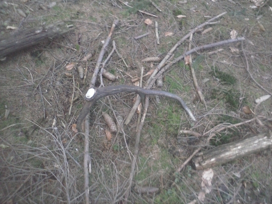 takto si tam ležal :-)