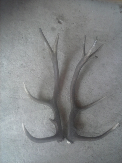 Uspešna dohladávka