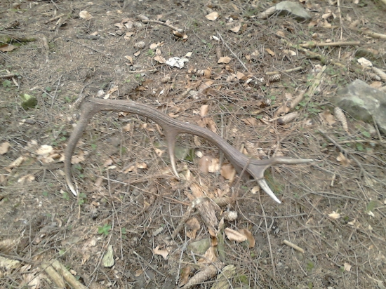 takto si ležal 10torák