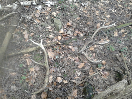 Dneskajšia minuloročná párka -)