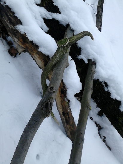 takto som ho našiel