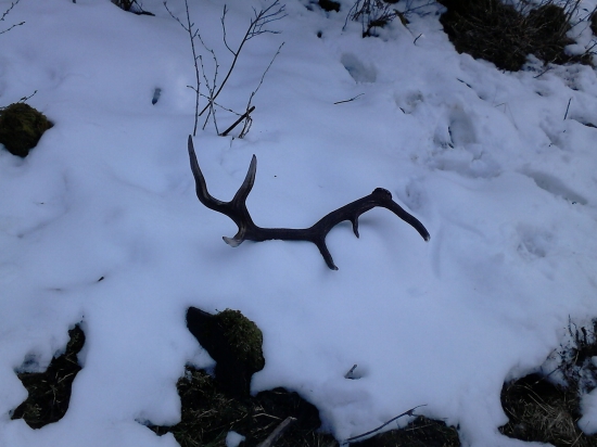 dnešný krásavec -)