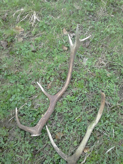 dnešný upršaný deň