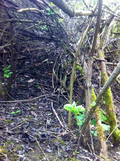 12torák - prvý pohlad