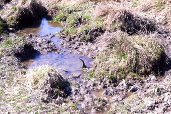 Ísť tam,neísť tam a -)