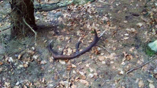 na ležovisku...do páru -)