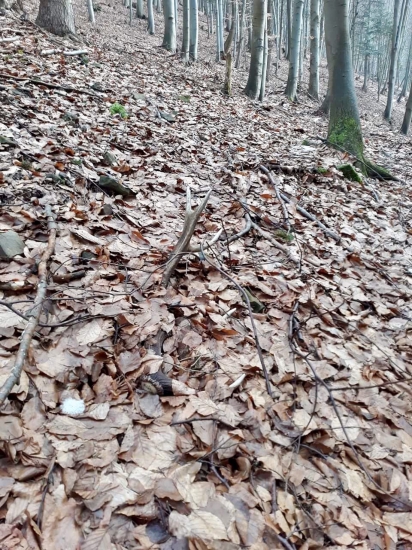 tam kde je to “prechodene”