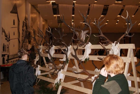 košice  2012