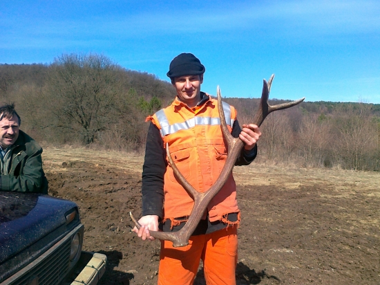 kamarátové 12-torák