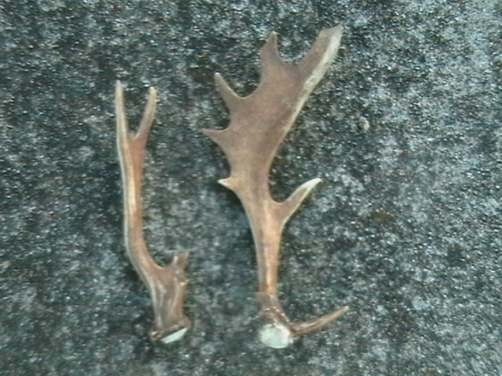 raritné lopaty pár