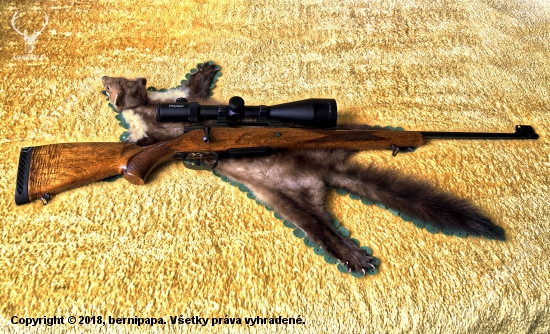 CZ531