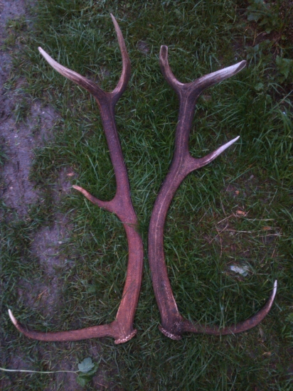 po viac než roku opäť spolu