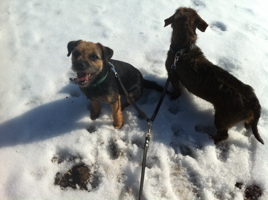 radost BT ked ide polovat :)