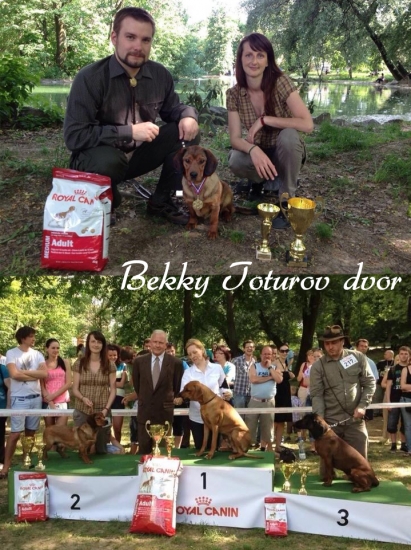 Bekky Toturov Dvor - CAJC, BOB, BOG II.