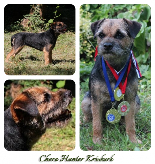 Chera Hanter Krisbark