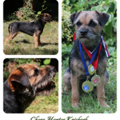 Chera Hanter Krisbark