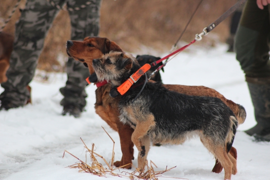 cmucham cmucham robotu :)