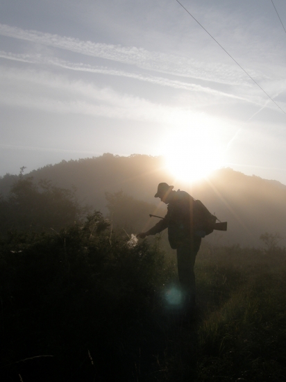 v jedno krásne ráno