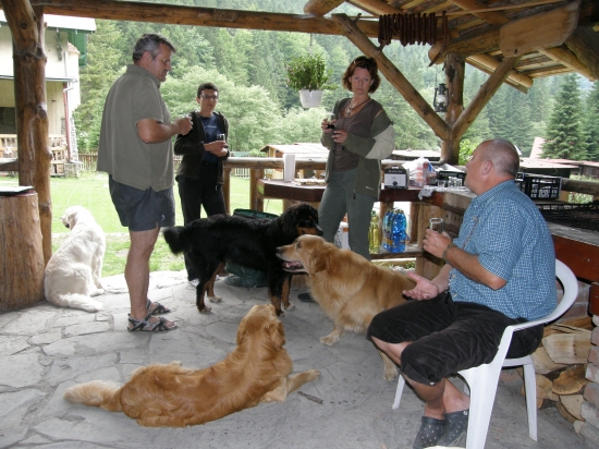 štvornohí kamaráti