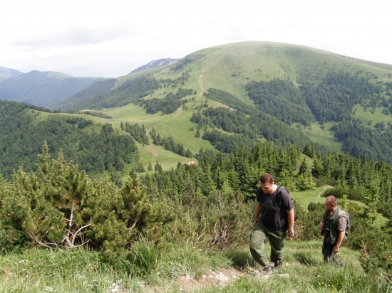 každým krôčkom o kúsok vyššie