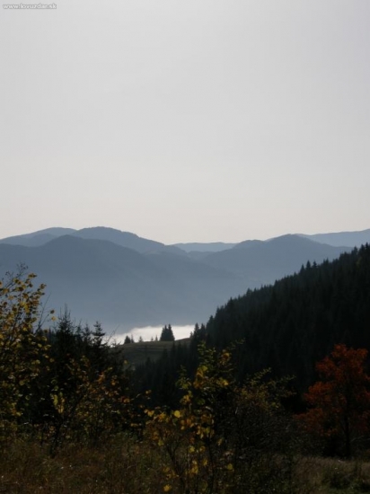 Ranná hmla