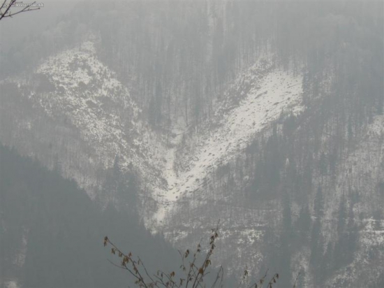 Valentínske srdiečko