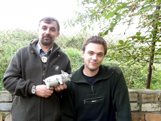 ...kamaráti...