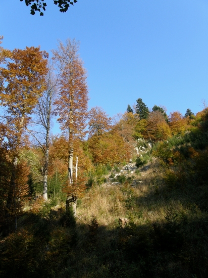 jesenné pohladenie očí pri nedeľnej prechádzke