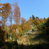 jesenné pohladenie očí pri nedeľnej prechádzke
