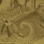 vypalovany obraz detail