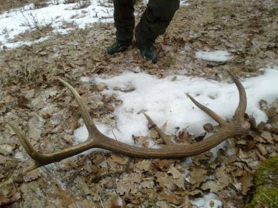 štvrtá vychádzka 5. zhod