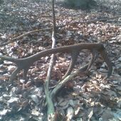 14torák 2,40kg