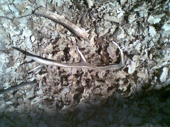 veľkonočný2 ešte horúci