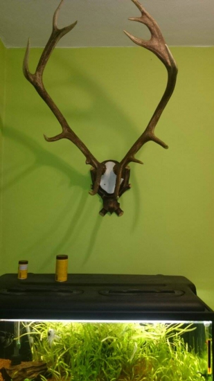 prvé v mojej izbe :)