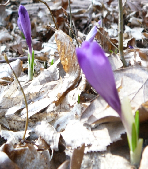 vraj zle odfotené ale to bol zámer