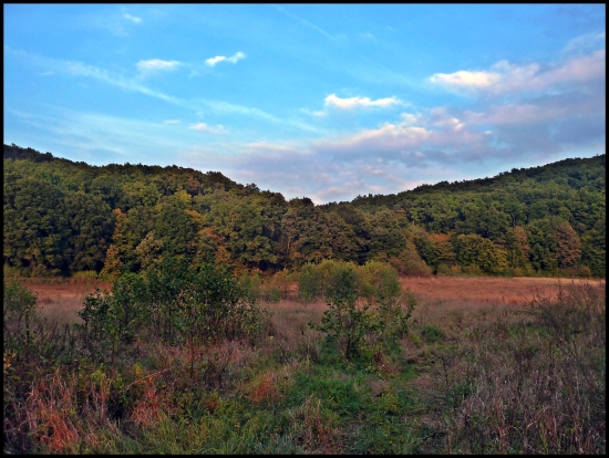 z jesenej prechádzky ...