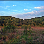 z jesenej prechádzky ...