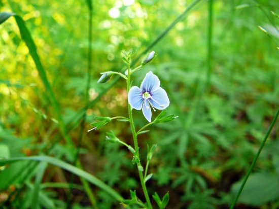 Zas neviem jak sa to volá!... :D