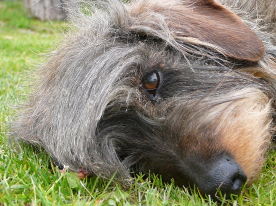 Milujem Atuškym úprimný kukuč :) ...