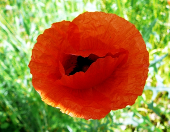 Už by mali začať .....