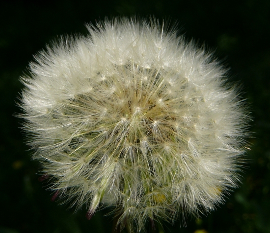 Tak tomuto sa hovorí prírodná discoguľa :D .......