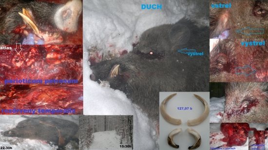 Norma AccuBond 30-06