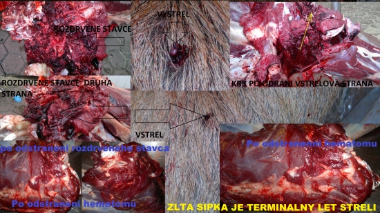 Norma Swift A-frame 308W