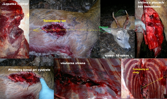 Norma Swift A-frame 308W