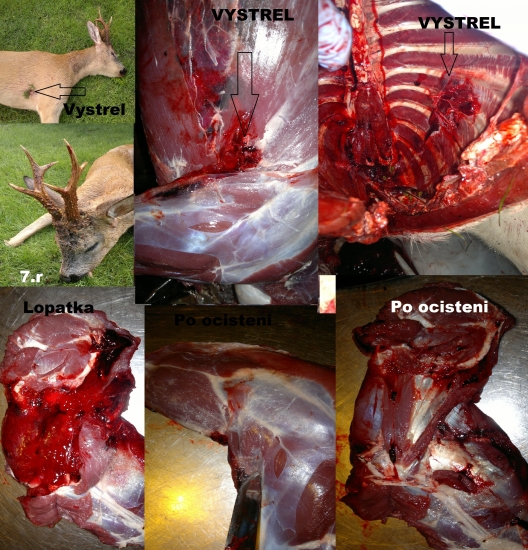 Norma Swift A-Frame 30-06