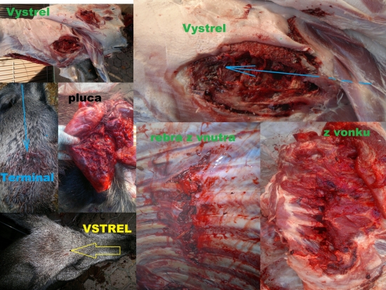 Norma Swift A-Frame 30-06