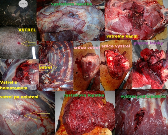 Norma Swift A-Frame 30-06