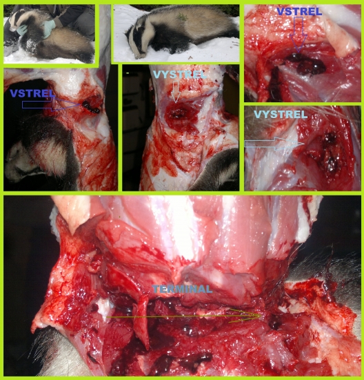 Norma Swift A-Frame 30-06