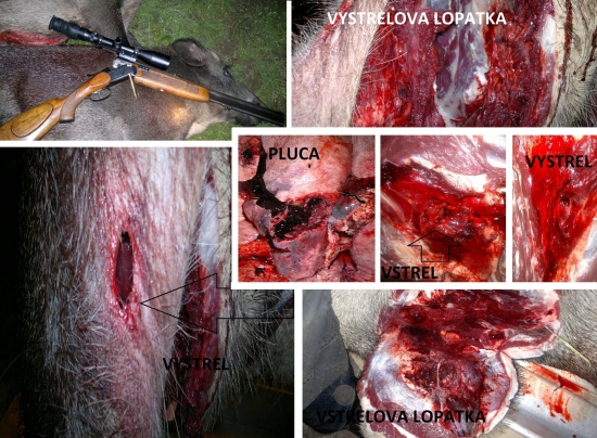 Norma AccuBond 30-06